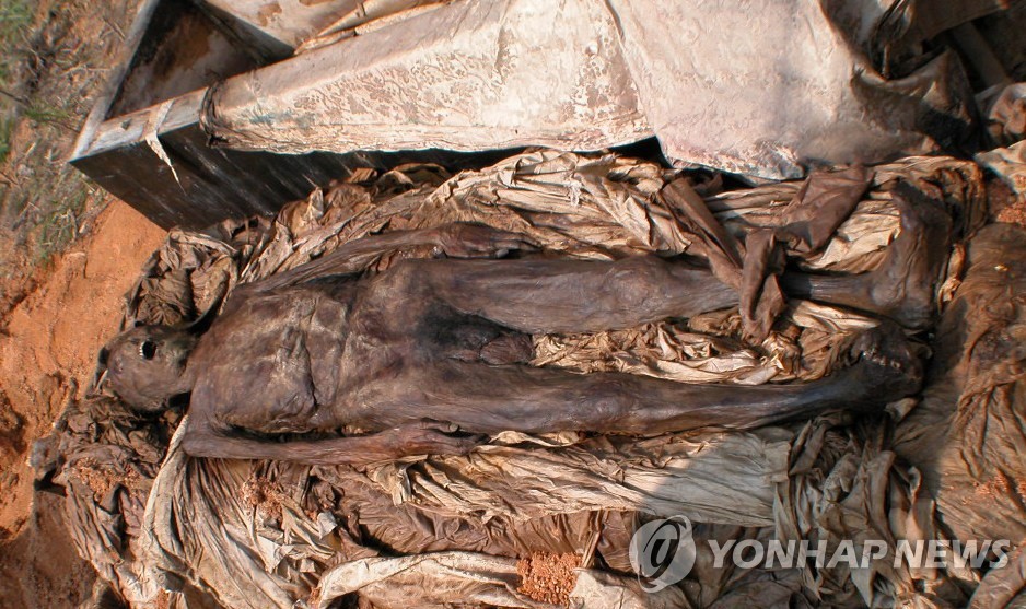 [유머] [기타]             190cm 조선미라 
