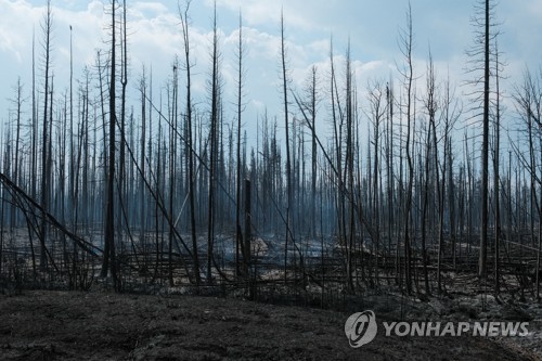 "텅 빈 도시, 세상의 끝 같아"…캐나다 산불 1천건 진행 초비상