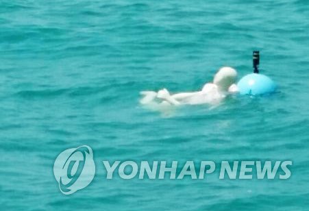 사고해역에 투하된 마네킹 부이 (범정부사고대책본부 제공)