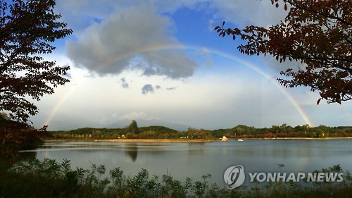 [#꿀잼여행] 강원권: 초여름을 걷다…향긋한 바다 내음·야생화 향기 물씬