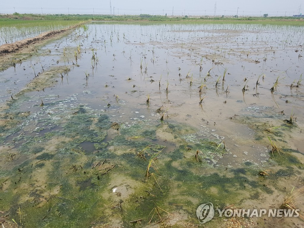 화성시, 남양호 일대 가축사육제한구역 지정 고시 | 연합뉴스