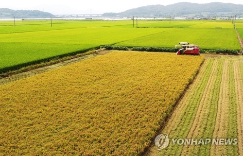 전남도, 논 타작물 재배 목표면적 77% 달성