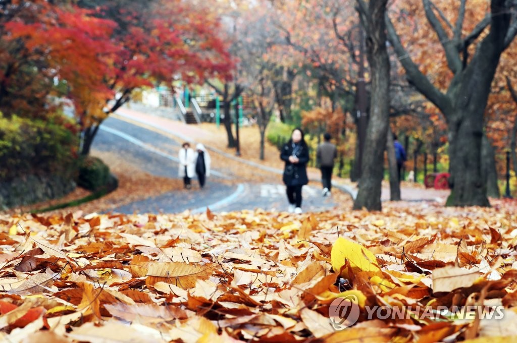 가을이 간다
