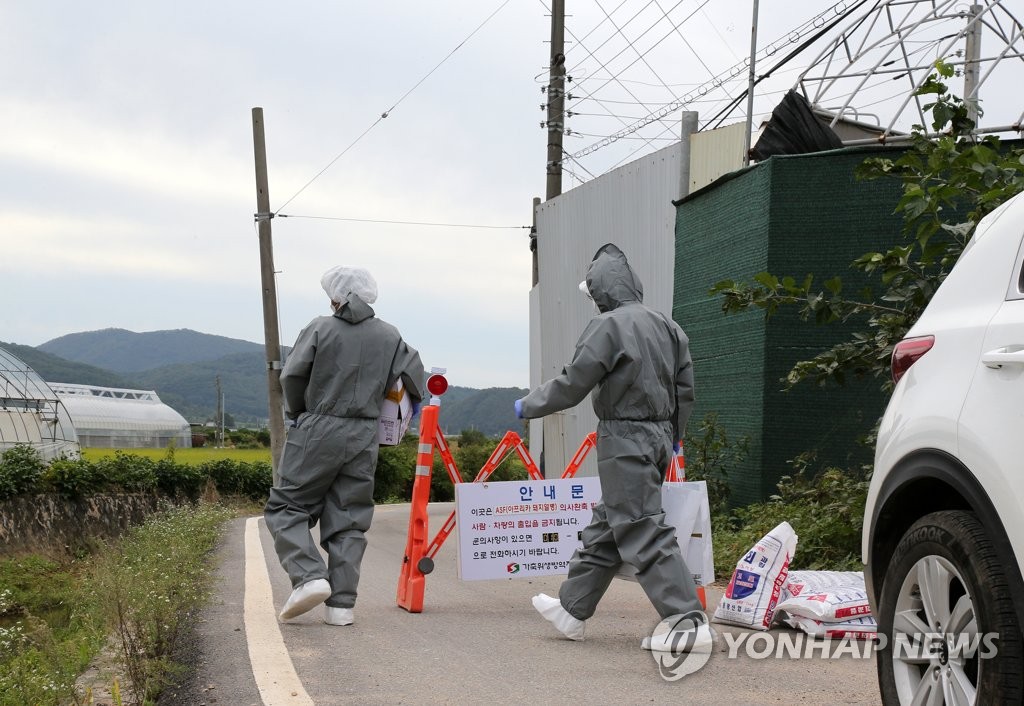 Two farms test negative for African swine fever | Yonhap News Agency