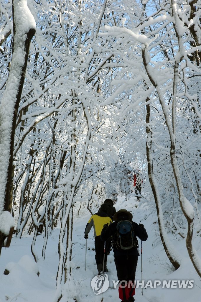 Snow in S. Korea's northeastern area | Yonhap News Agency