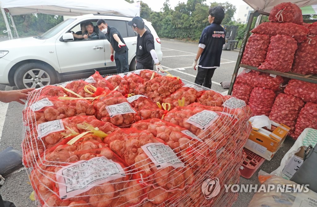 '햇마늘 구매도 드라이브스루'