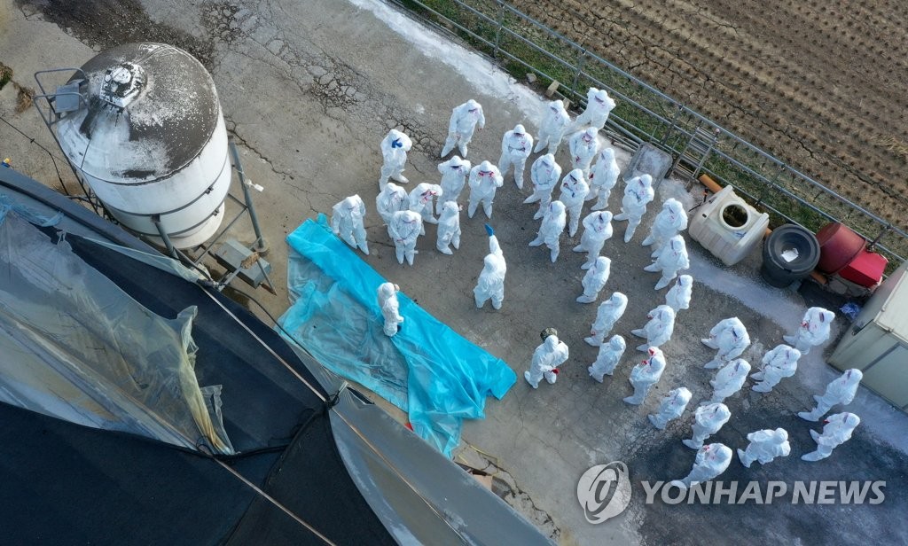Officials prepare to cull ducks at a farm in Naju, 355 kilometers south of Seoul, on Dec. 8, 2020, in line with efforts to prevent the spread of avian influenza. (Yonhap)