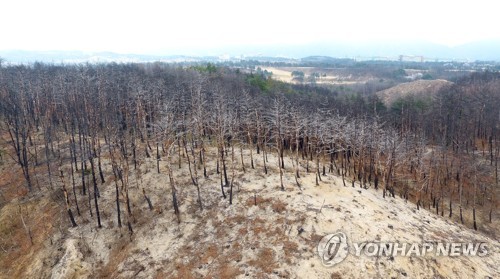 기온 오르고 습도 떨어지고…10년간 강원산불 여의도 19배 피해