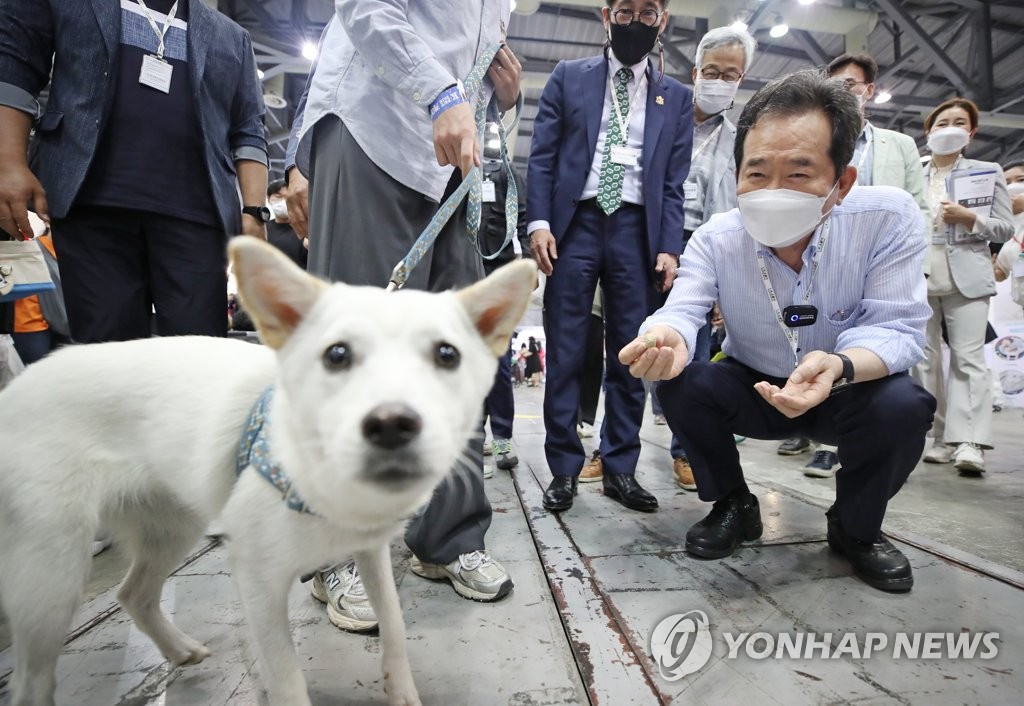 댕댕이·길냥이 띄우는 대권주자들…1천500만 '펫심' 쟁탈전 | 연합뉴스