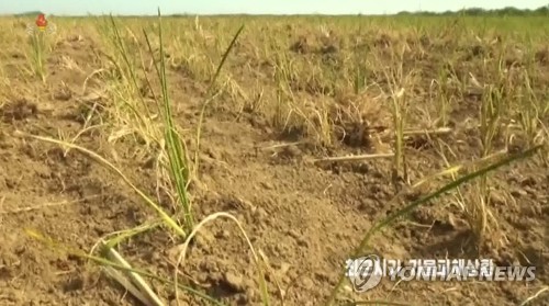 北朝鮮の干ばつ「深刻」　食糧８６万トンが不足＝米ＣＩＡ　　
