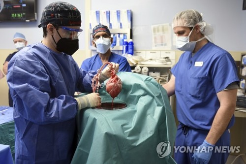 돼지 심장 인체에 첫 이식 수술하는 미 메릴랜드대 의료진