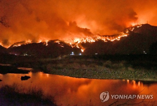 삼척 산림 60㏊·민가 4채 소실…LNG생산기지 사수 '총력'(종합)
