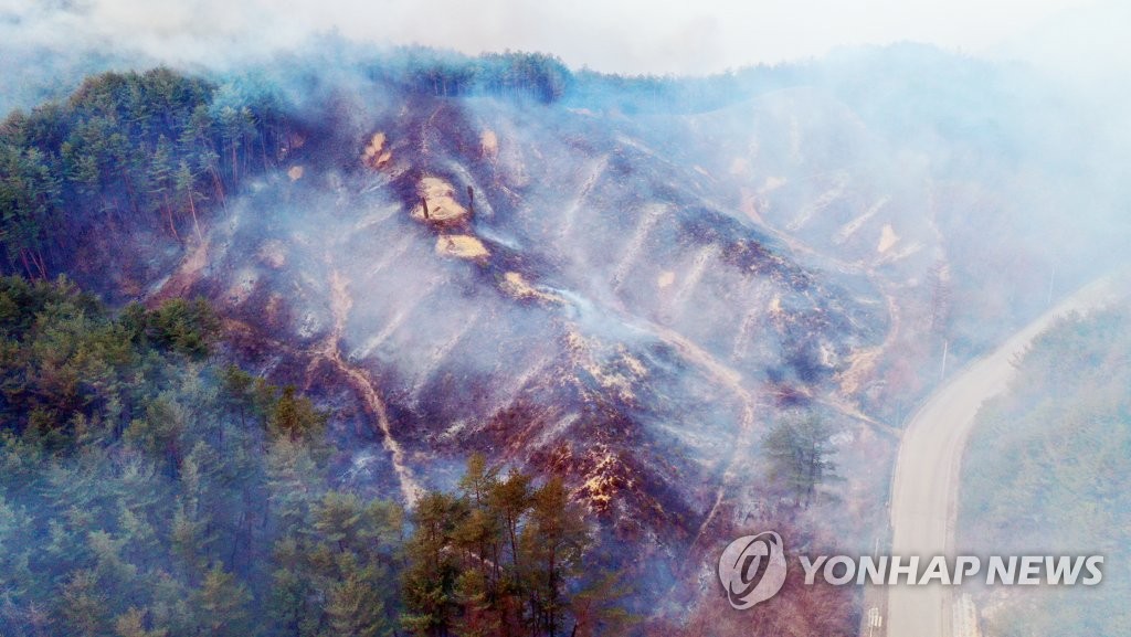 잿더미로 변한 울진군 북면 야산