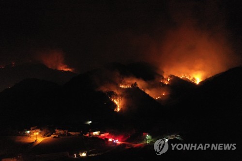 강풍 특보 속 강릉서 산불…소방 대응 2단계 발령
