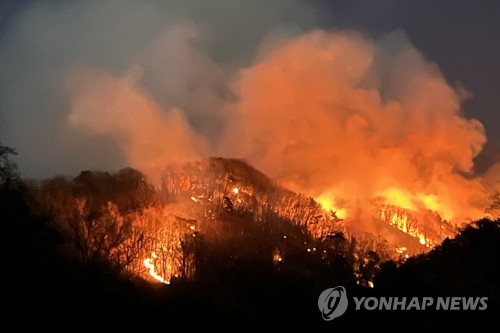 이달 초 산불 위험 급증…"산림인접지 소각행위 절대 금지해야"