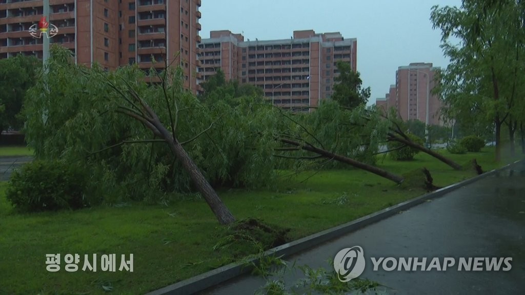 Des arbres sont déracinés à cause de vents violents et fortes pluies à Pyongyang, capitale nord-corénne, le samedi 25 juin 2022, rapporte le lendemain la Télévision centrale nord-coréenne (KCTV). (Utilisation en Corée du Sud uniquement et redistribution interdite)
