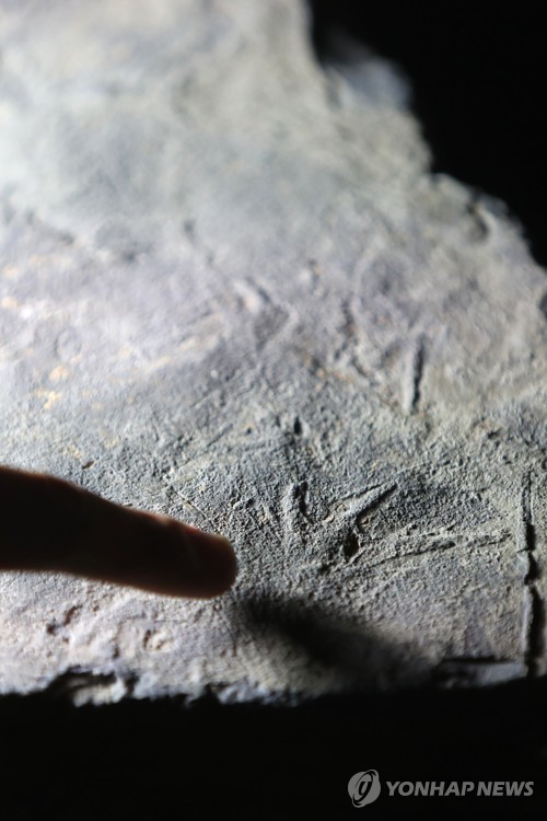 Pterosaur footprints found in S. Korea
