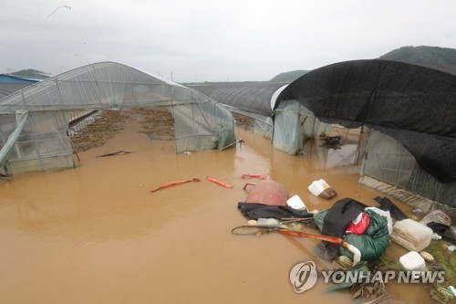 부여·청양 폭우에 2명 실종·농경지 침수 등 피해 속출