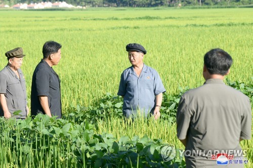 북한 "식량·먹는 문제 국가중대사…올해 농사 매우 중요"