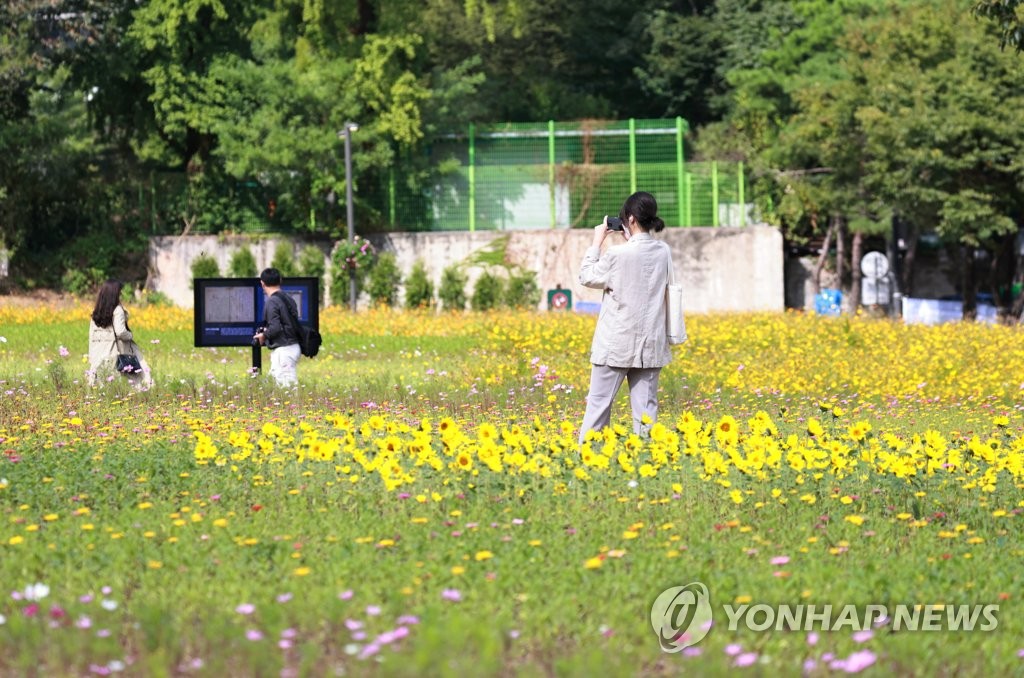 도심의 열린송현 녹지광장