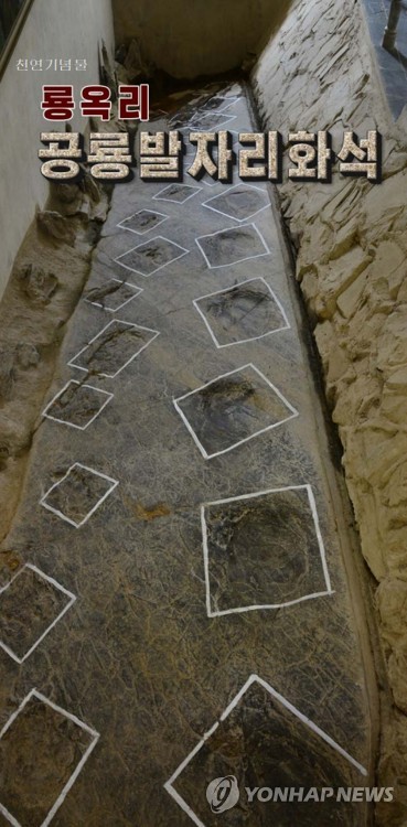 북한에서 발견된 공룡발자국 화석