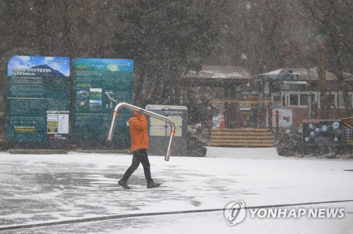 한라산에 21.4㎝ 눈…제주 일부 산간도로 통제·항공편 차질(종합)
