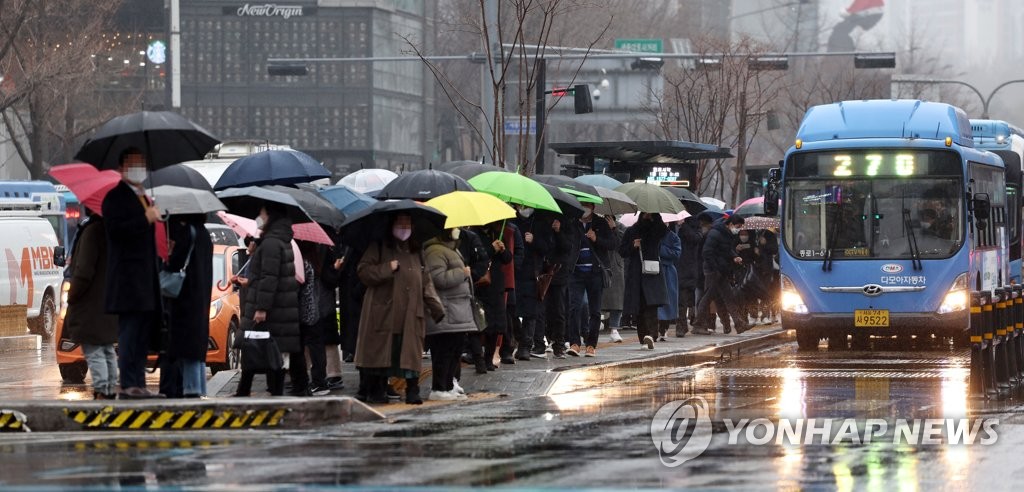포근함 속 내리는 겨울비