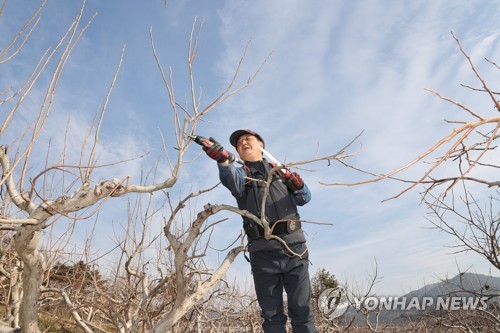 부산·울산·경남 낮 최고 11∼14도…미세먼지 '나쁨'