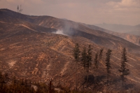 정부, 대규모 산불 피해 칠레에 10만 달러 인도적 지원