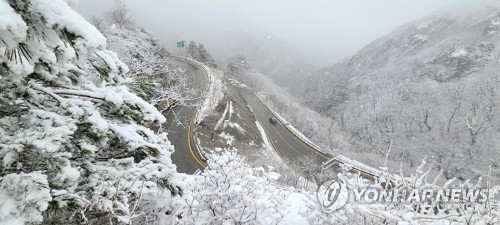 강원 산간 5㎝ 안팎 눈 쌓여…"교통안전 유의"