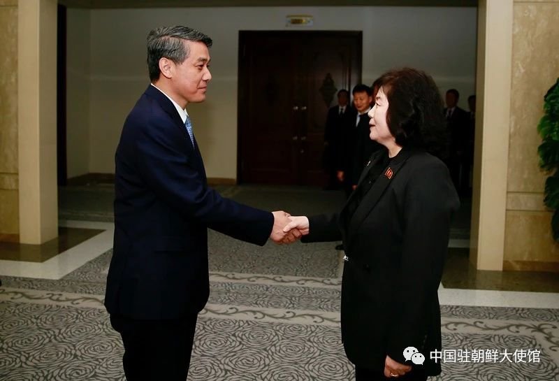 This photo, captured from the WeChat account of the Chinese Embassy in North Korea on May 9, 2023, shows North Korean Foreign Minister Choe Son-hui (R) and China's new ambassador to Pyongyang, Wang Yajun, shaking hands during their meeting the previous day. (PHOTO NOT FOR SALE) (Yonhap)