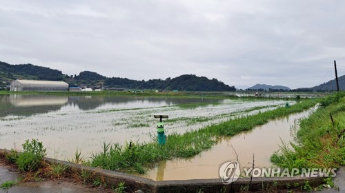 집중호우에 농지 4천여㏊ 피해…벼농가 피해 커