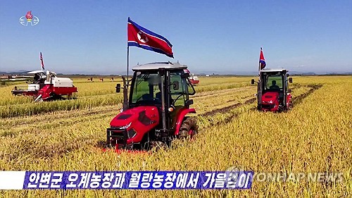 태풍 피해 입었던 북한 오계농장과 월랑농장 벼수확 한창