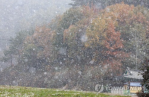 Yonhap Interview) Pitcher rides improved slider to sweeping success in KBO