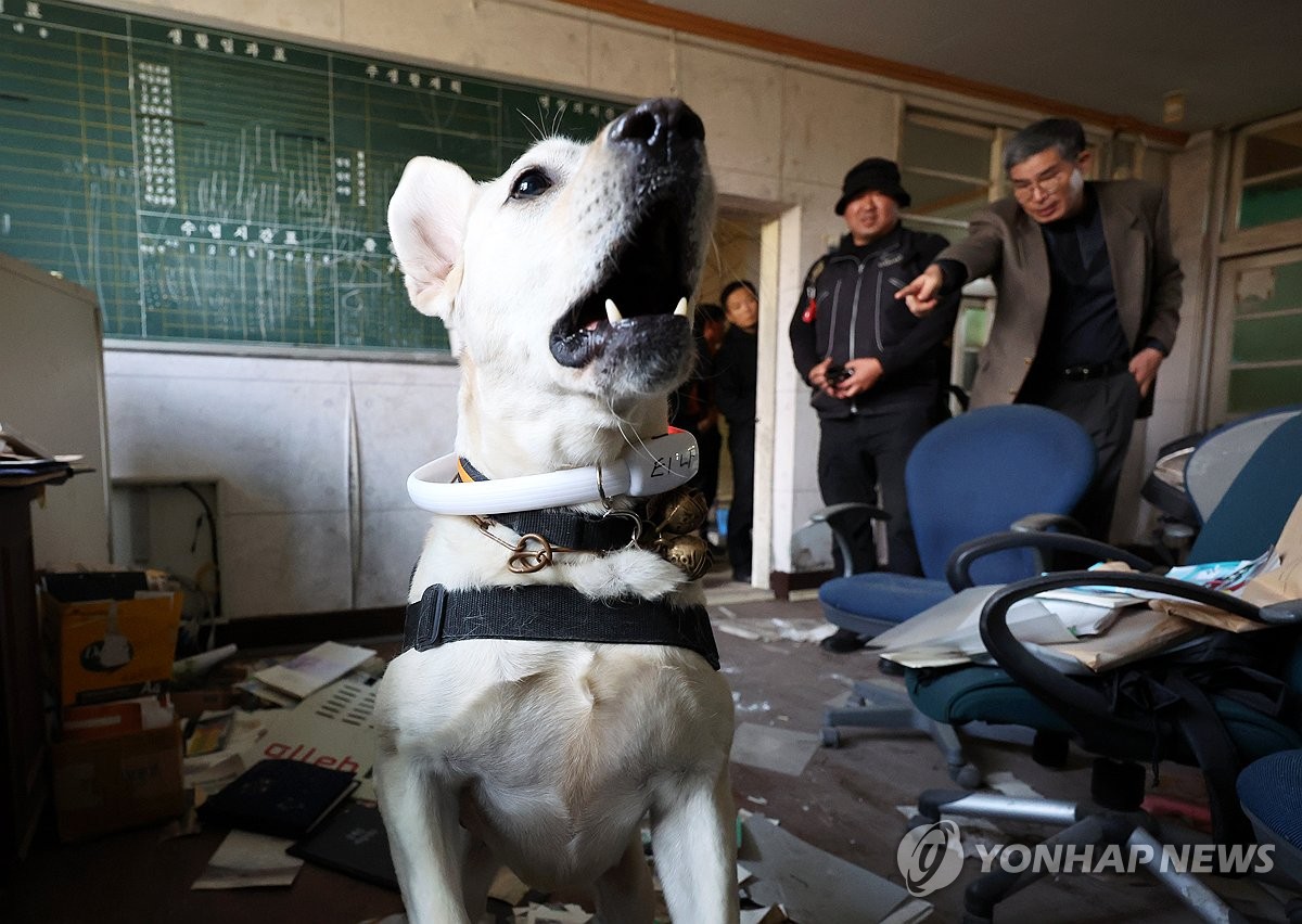 지진 대비 특수목적견 합동훈련 | 연합뉴스