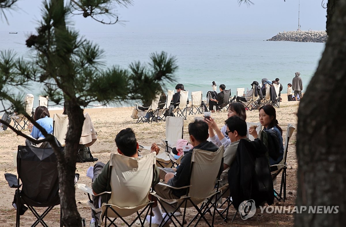 백사장과 솔숲에서 마시는 커피 맛은