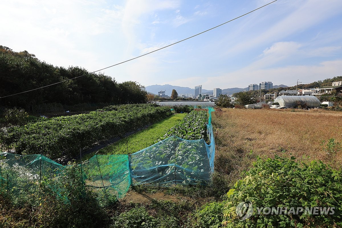 서울시·수도권 그린벨트 해제