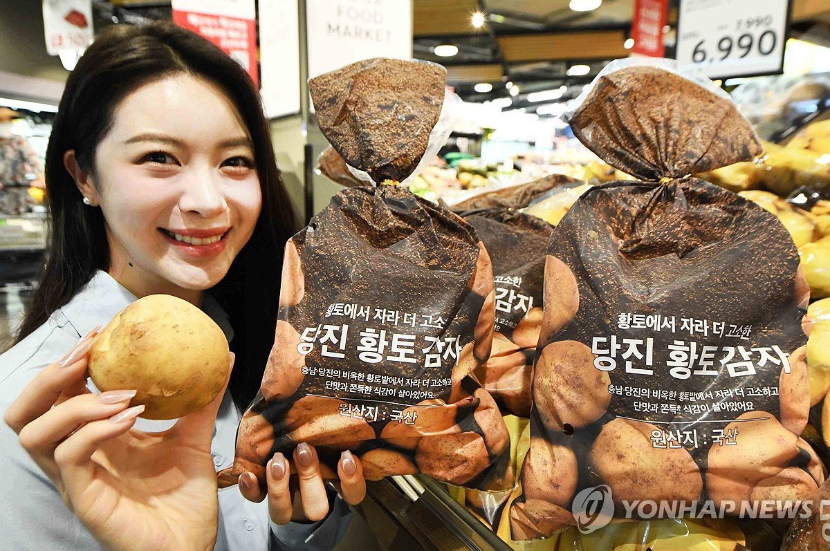 당진 황토 감자