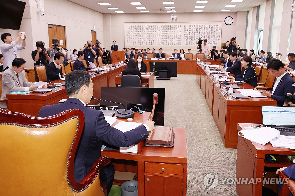 여야, 상법 개정안 