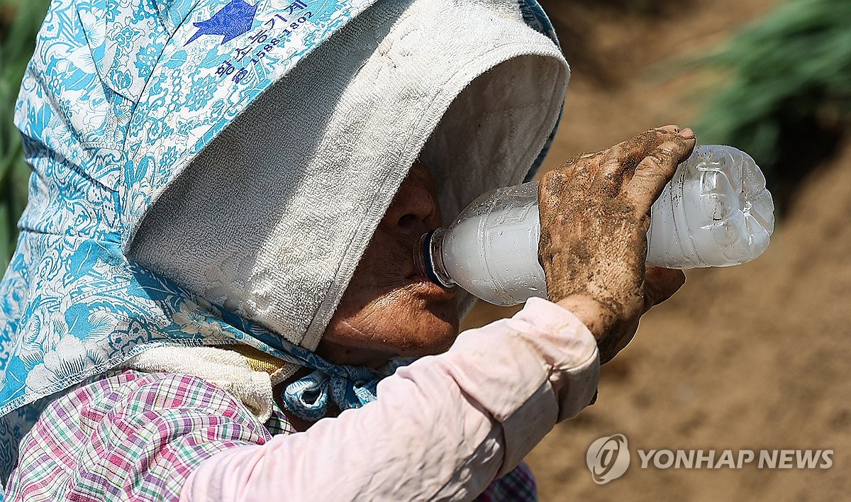 장마라더니, 때이른 폭염에 전국 몸살…사람도 가축도 힘들다