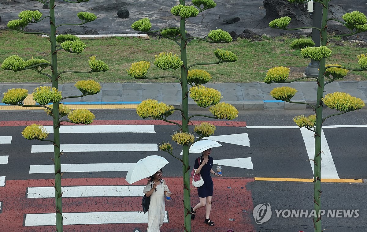 제주, 무더위 속 가끔 구름 많아…낮 최고 30∼32도
