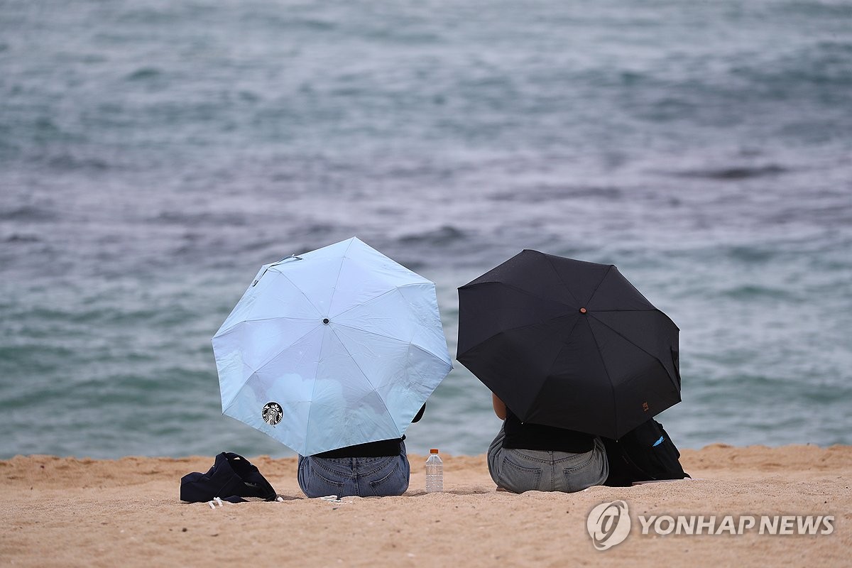 강릉 도심에 내리는 비