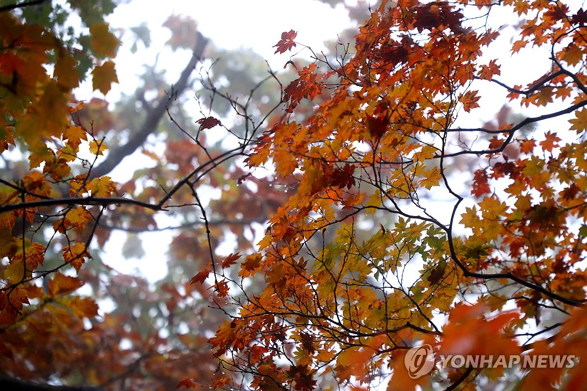 가을과 겨울이 공존