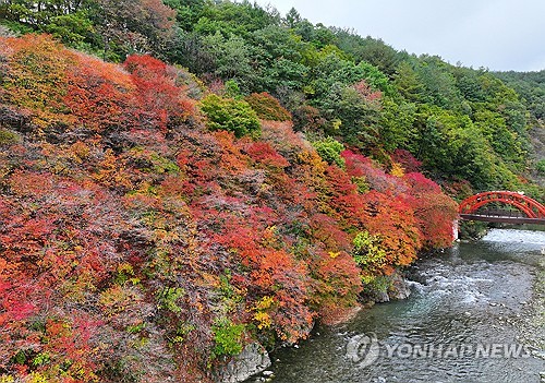 ألوان الخريف في تيبيك