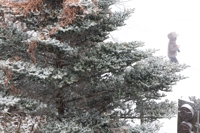 수도권 오후 6시께 짧게 눈 쏟아질 듯…추위 속 빙판길 주의