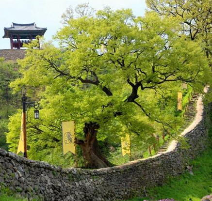 공주 공산성 옛 백제길 정밀 발굴조사한다